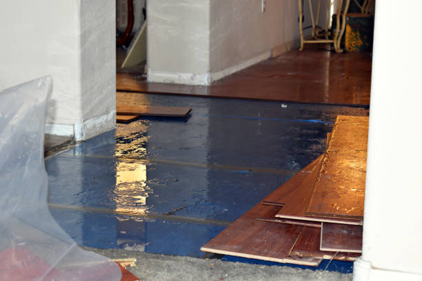 Professional Basement Flood Cleanup technician working in Fawnskin, CA